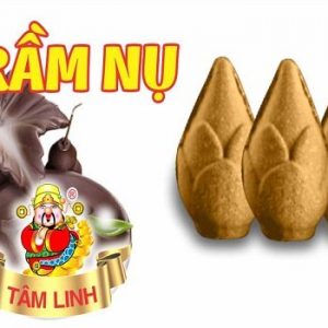 540x350-Tram-nu-Tam-Linh